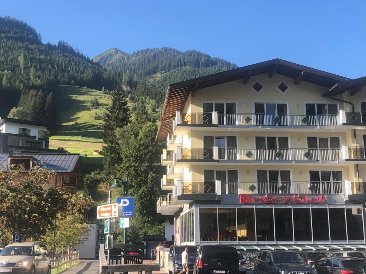 Hotel Herzblut - Joker Card Included In Summer Заалбах-Хинтерглем Екстериор снимка
